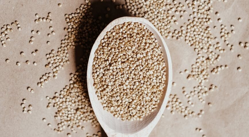 quinoa grains on a spoon